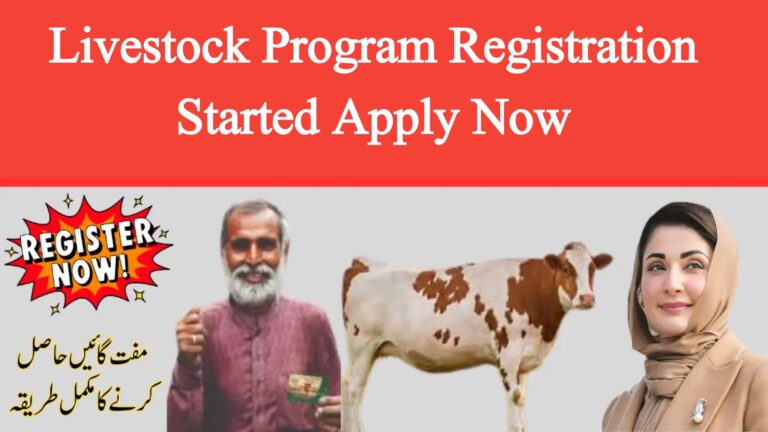 Livestock Program Registration Started—Apply Now!