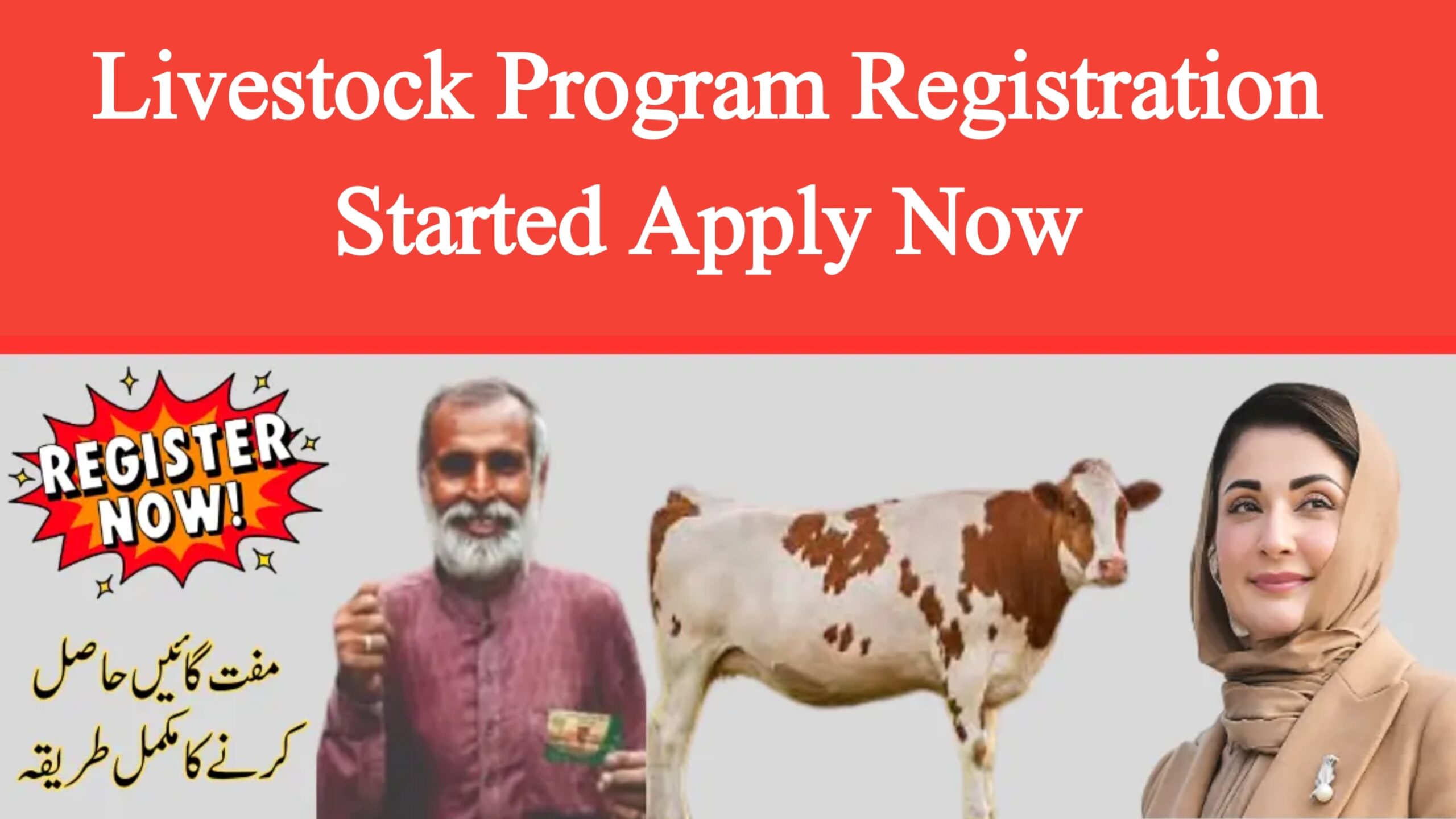 Livestock Program Registration Started—Apply Now!