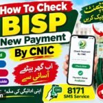 How To Check BISP New Payment By CNIC
